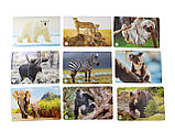 Игра МЕМО «Мир животных» (50 карточек), фото 7