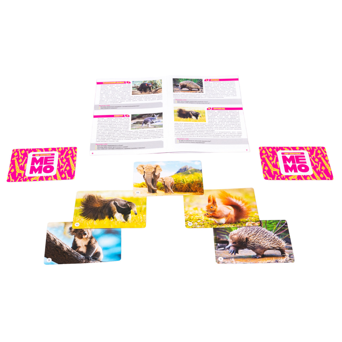 Игра МЕМО «Мир животных» (50 карточек) - фото 8 - id-p88782870