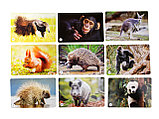 Игра МЕМО «Мир животных» (50 карточек), фото 9