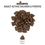 Chicopee Holistic Nature Line Active Salmon&Potato беззерновой сухой корм для активных собак всех пород лосось, фото 2