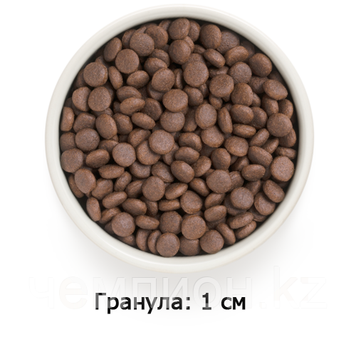 851164 GRANDORF Turkey Adult Medium&Maxi - индейка с бурым рисом для средних и крупных собак, уп.10 кг. - фото 2 - id-p110330626