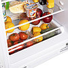 Холодильник встраиваемый MAUNFELD MBL88SW, фото 4