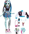 Monster High Кукла Френки Штейн с питомцем, фото 2