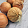 Искусственный лук декоративный муляж связка 48 см оранжевый, фото 2