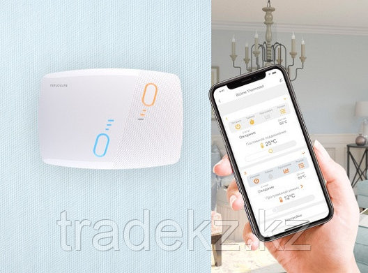 Терморегулятор двухтонный BiZone, фото 2