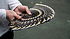 Cardistry Fan yellow, фото 3