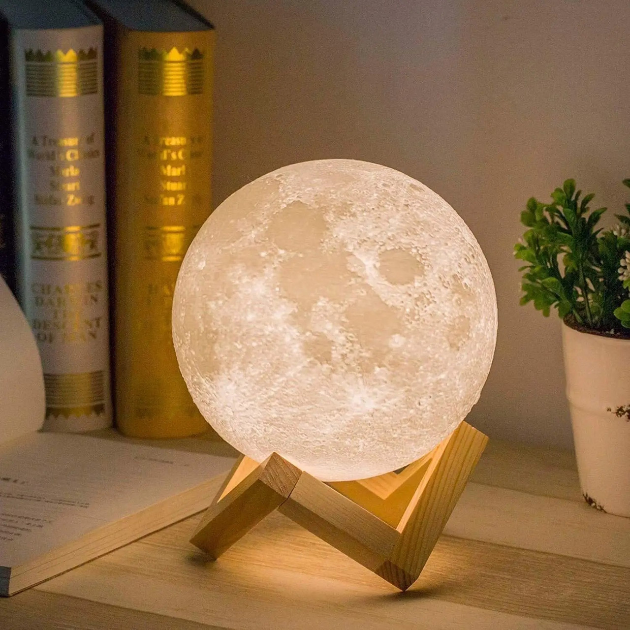 Настольный светильник-ночник Луна (4865) - фото 6 - id-p110427884