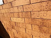 Облицовочный кирпич Тайга морошка 250*120*65