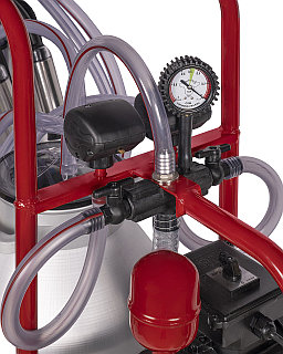 Эрика - транссексуалды хореограф. Секс немесе жұп