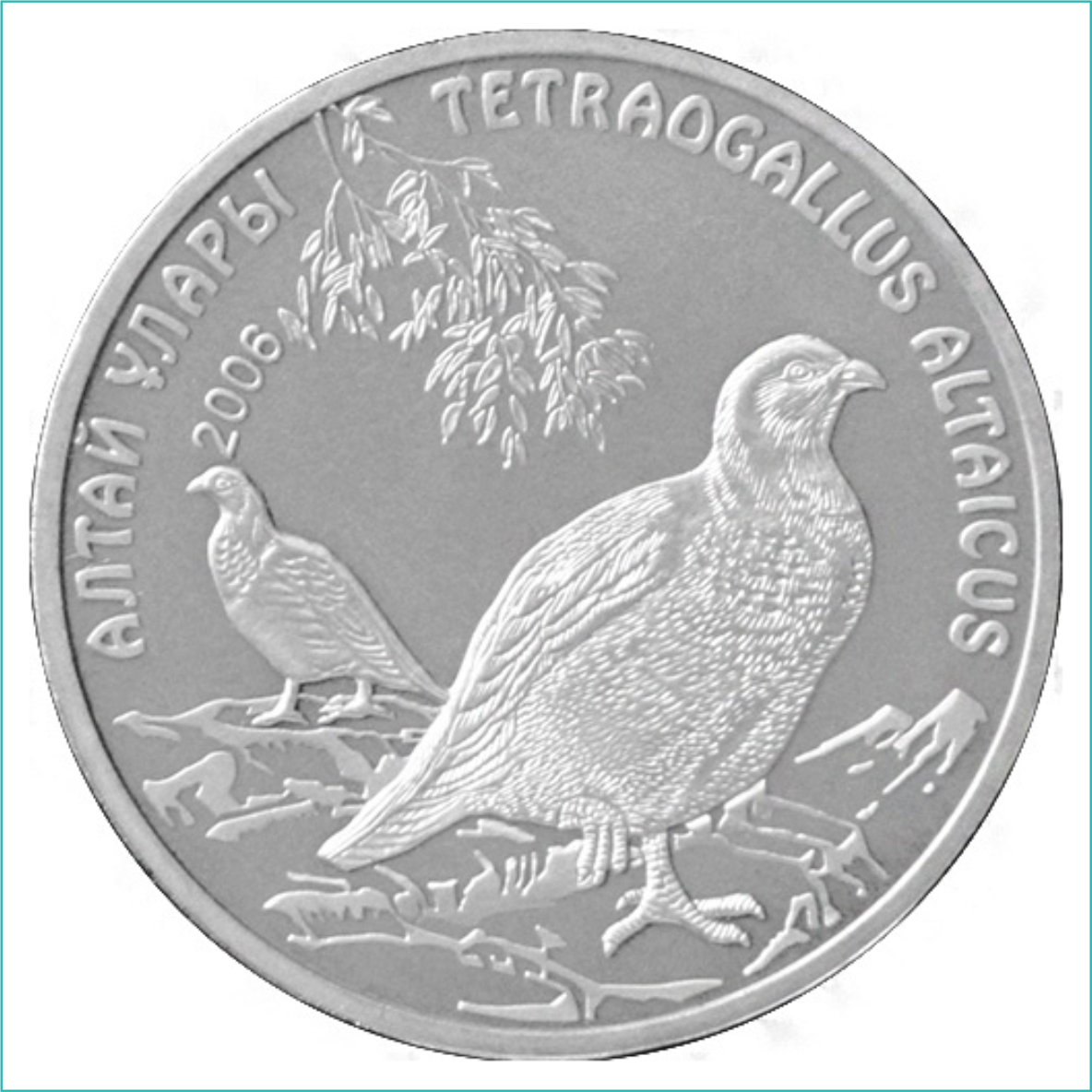 Монета "Алтайский улар" (50 тенге) - фото 1 - id-p110478373