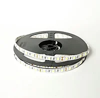 LED Лента 12V 12W/m 1140Lm/m 10mm 11000K IP20 (10м)