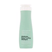 Охлаждающий шампунь для жирной кожи головы Daeng Gi Meo Ri Minticcino Deep Cooling Shampoo