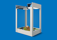 Тек тәтті және әдемі секс