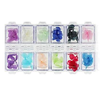 Набор сухоцветы New