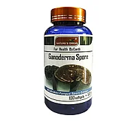 Гриб линчжи Ganoderma Spore Nature's Origin