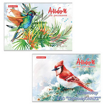 Альбом для рисования А4 24 л., скоба, обложка картон, BRAUBERG, 202х285 мм, "Райские птички" (2 вида), 105609