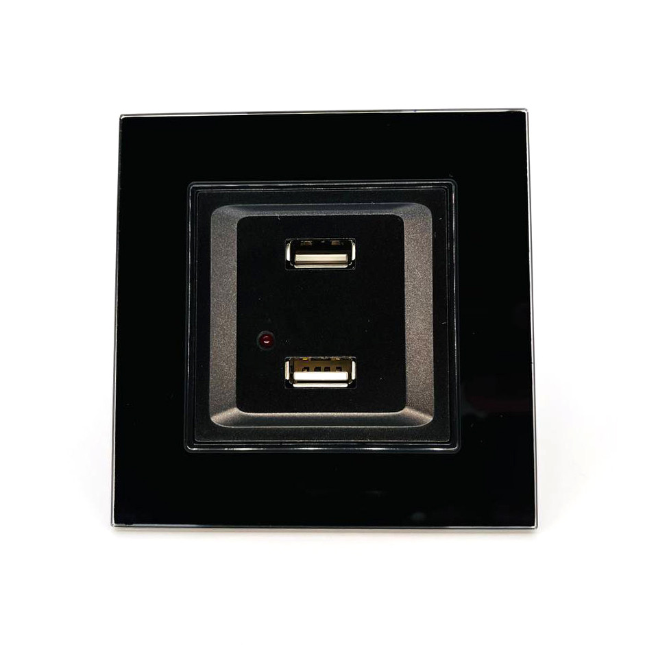 Розетка ZION USB 2-ая 2100 мА (для подзарядки) черная (с рамкой) - фото 1 - id-p110545126