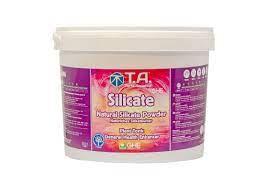 Органическая добавка Silicate 5 L  (GHE)