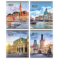 Тетрадь А5 48л " Проф-Пресс " Европейские виды