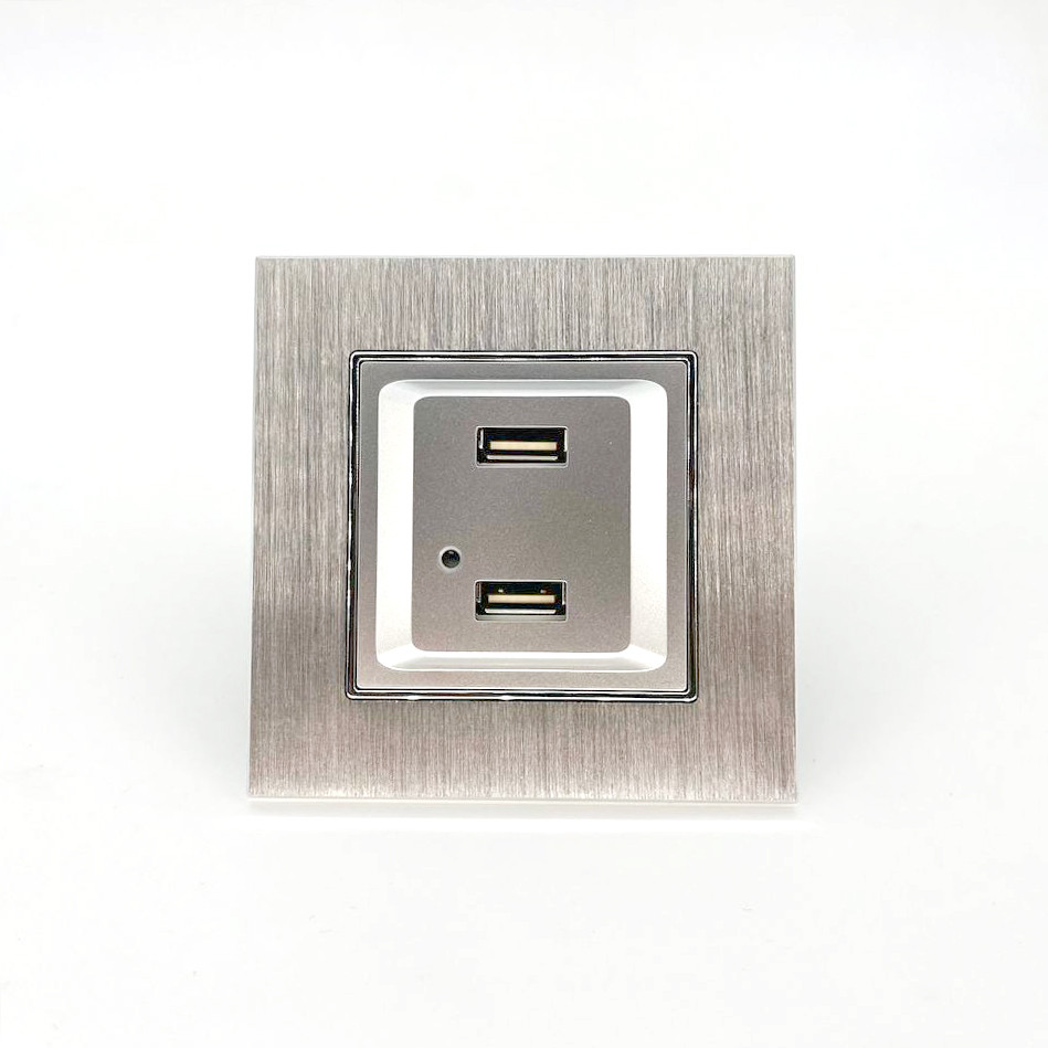 Розетка ZION USB 2-ая 2100 мА (для подзарядки) серая (с рамкой алюминий)