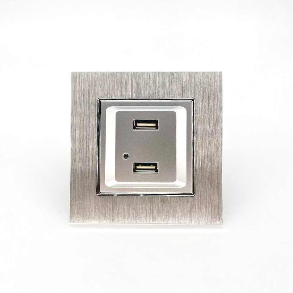 Розетка ZION USB 2-ая 2100 мА (для подзарядки) серая (с рамкой алюминий) - фото 1 - id-p110557246