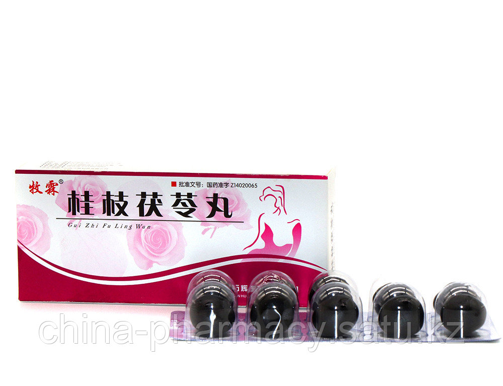 Пилюли для лечения женских заболеваний «Gui Zhi Fu Ling Wan» («Гуйчжи Фулин Вань») - фото 1 - id-p92703609