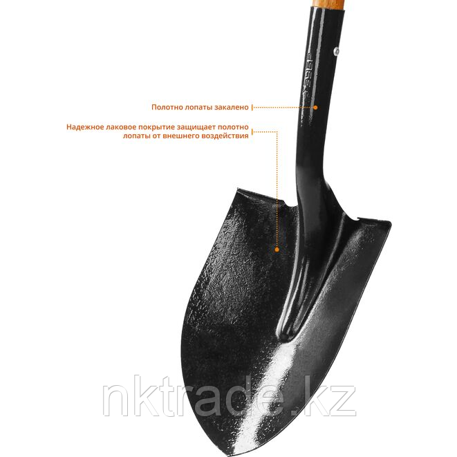 Лопата "Профи-10" штыковая для земляных работ, деревянный черенок, ЗУБР Профессионал - фото 5 - id-p98547265