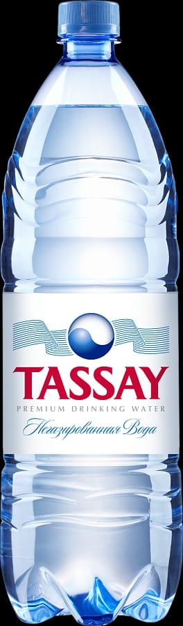 Вода негазированная питьевая "Tassay", 1.5 л - фото 1 - id-p110592389