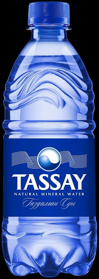 Вода газированная  питьевая "Tassay", 0.5  л