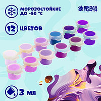 Набор акриловых красок « Фиолетовый бум» , 12 цветов