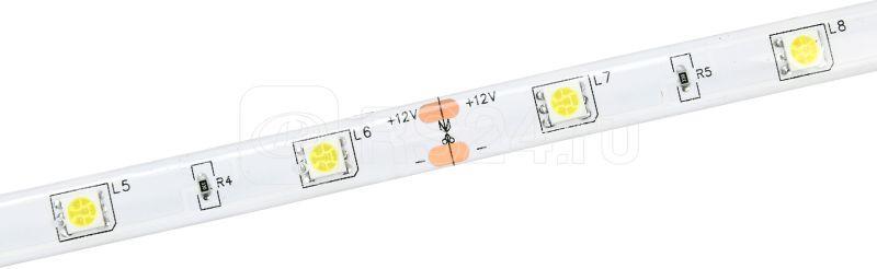 Лента светодиодная LED LSR-5050W30-7.2-IP65-12В (уп.5м) IEK LSR2-2-030-65-3-05 - фото 1 - id-p110613529