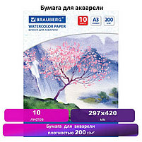 Бумага для акварели БОЛЬШАЯ А3, 10 л., 200 г/м2, 297х420 мм, BRAUBERG, "Сакура", 125224, фото 3