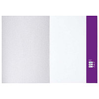 Папка для рисования БОЛЬШОГО ФОРМАТА А3, 20 л., 160 г/м2, BRAUBERG, 297х420 мм, "Орел", 125228, фото 2