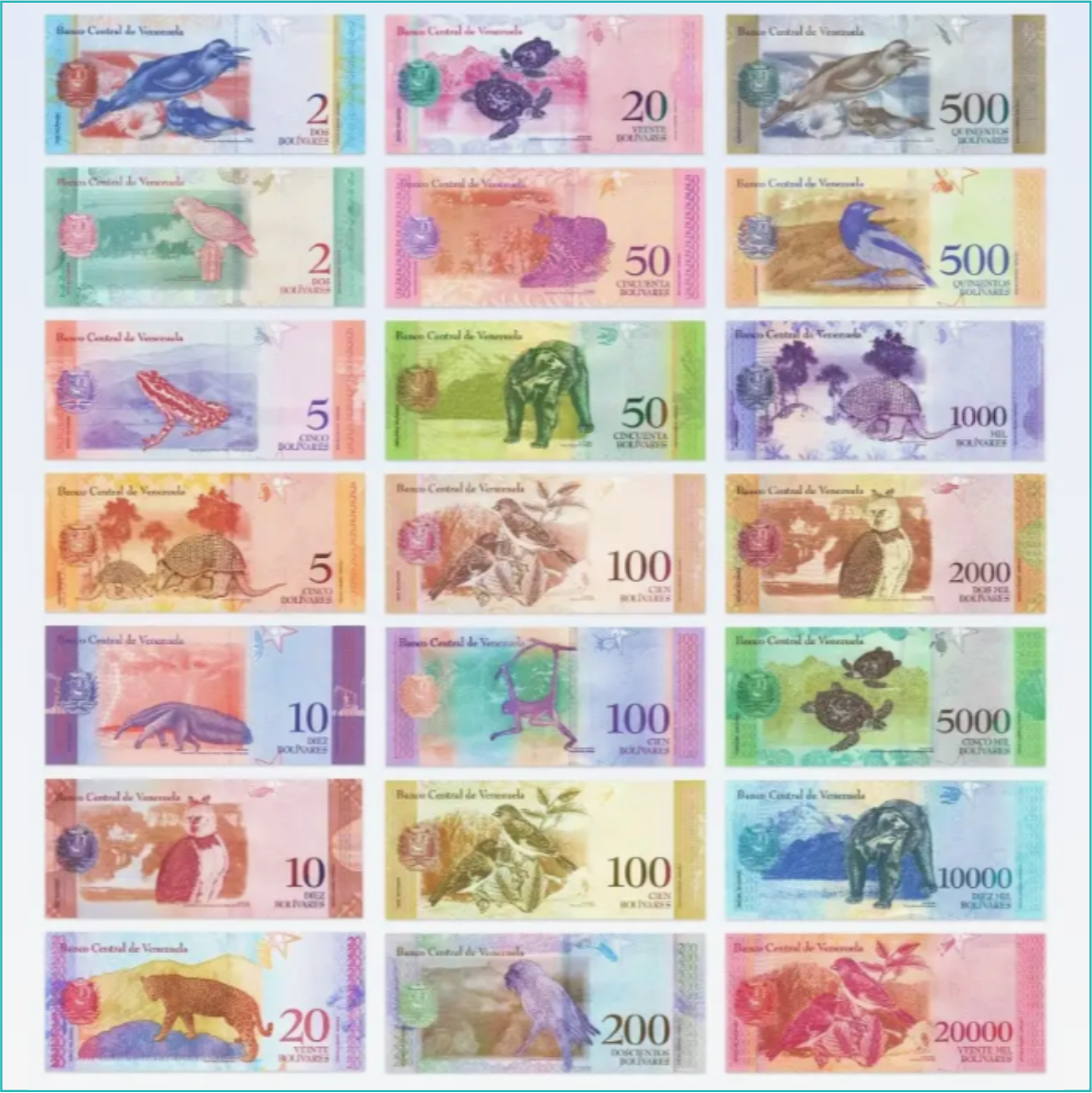 Набор банкнот (Венесуэла) 2007-2018 (21 шт.) - фото 2 - id-p110619826
