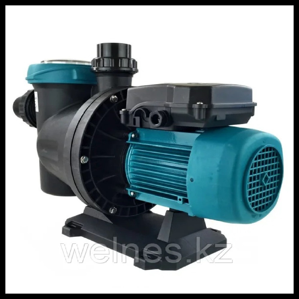 Насос spa Silen S 150 22M для бассейна c префильтром (220V, производительность = 21 м3/ч), фото 1
