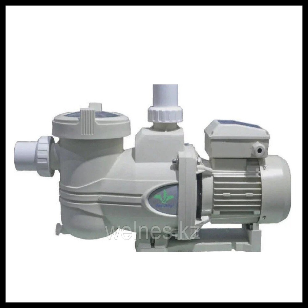 Насос Pool King PG200 для бассейна c префильтром (2,0 HP, производительность = 27,9 м3/ч)