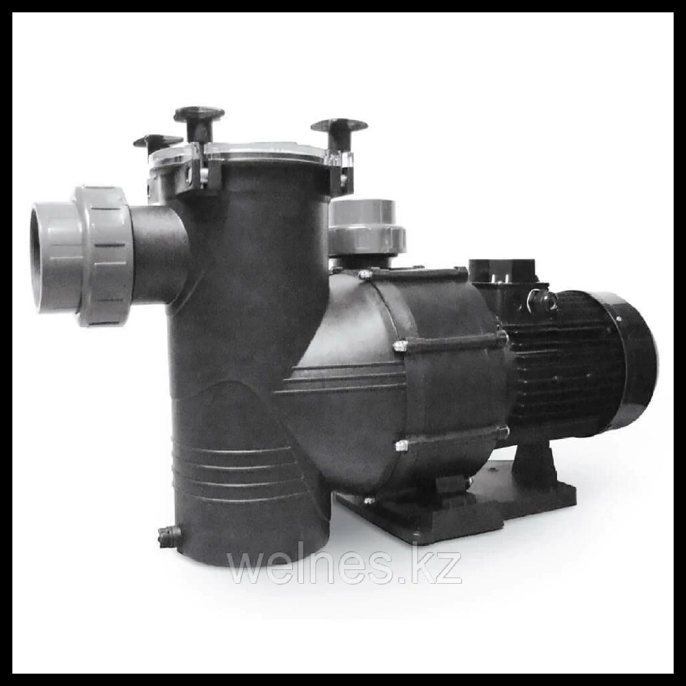 Насос для бассейна IML Big Discovery DY350T c префильтром (380В, производительность = 39 м3/ч, 2,2 кВт), фото 1