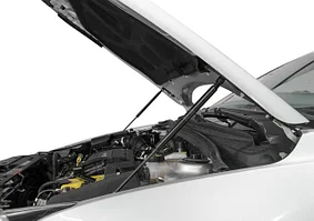 Амортизаторы капота и багажника