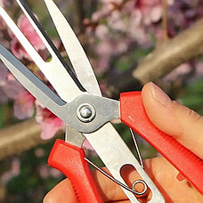 Ножницы садовые (4886), фото 2