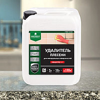 Удалитель плесени, моющее чистящее концентрат 1:1, 019-5 FUNGI CLEAN (ФАНГИ КЛИН) -  5,0 л = 75-100 м2