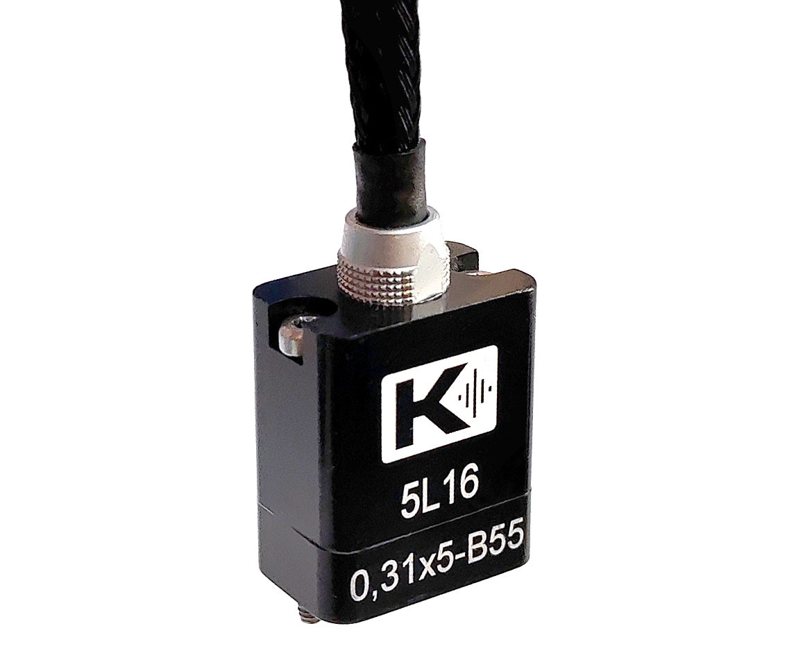 5L16-0,31x5-B55 (интег.кабель, LEMO, 2м)