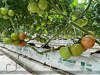 Кокос субстраты Coco Green 150х120х1000 18 литр