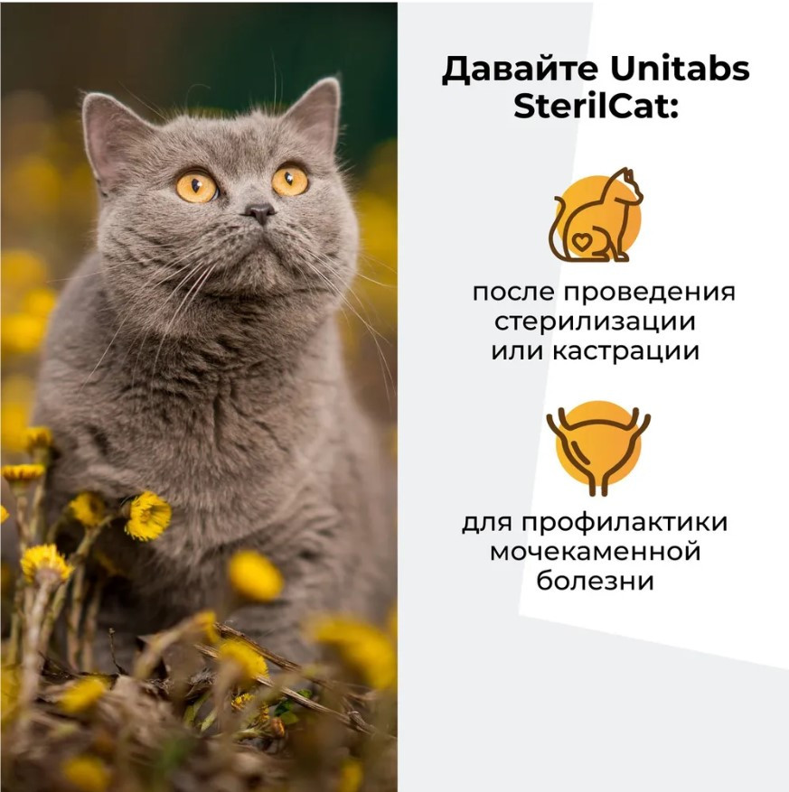 Зарарсыздандырылған еркек және ұрғашы мысықтарға арналған Unitabs SterilCat (Q10 бар) қоспасы, 200 таб - фото 3 - id-p110803611