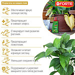 Bona Forte средство 4в1 от пожелтения листьев, 285мл, фото 3