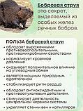 Фитосвечи "С экстрактом бобровой струи" 10 шт. в блистере, фото 2