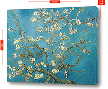 Картина на холсте "Цветущая миндаль" - Винсент Ван Гог