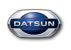 Амортизаторы Datsun