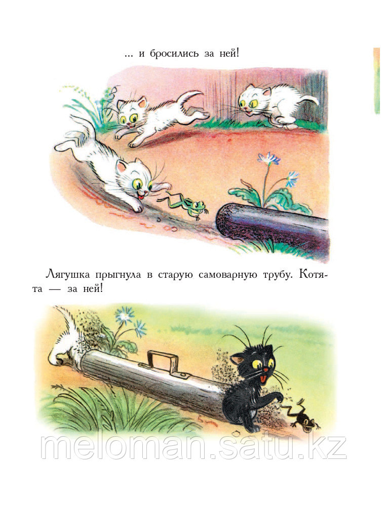 Сутеев В. Г.: Сказки в картинках. Большая книга сказок - фото 7 - id-p110820163