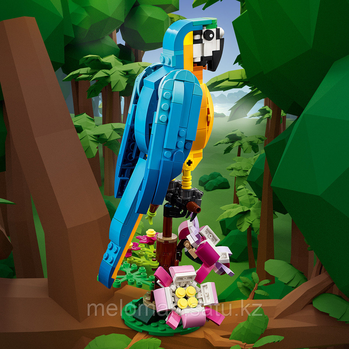 LEGO: Экзотический попугай Creator 31136 - фото 5 - id-p110828241