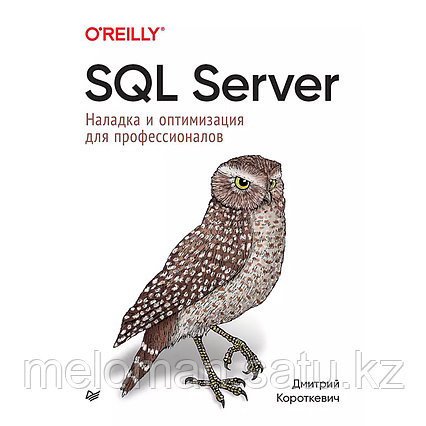 Короткевич Д.: SQL Server. Наладка и оптимизация для профессионалов